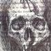 Tattoos - Pen Skull Sketch - 70673